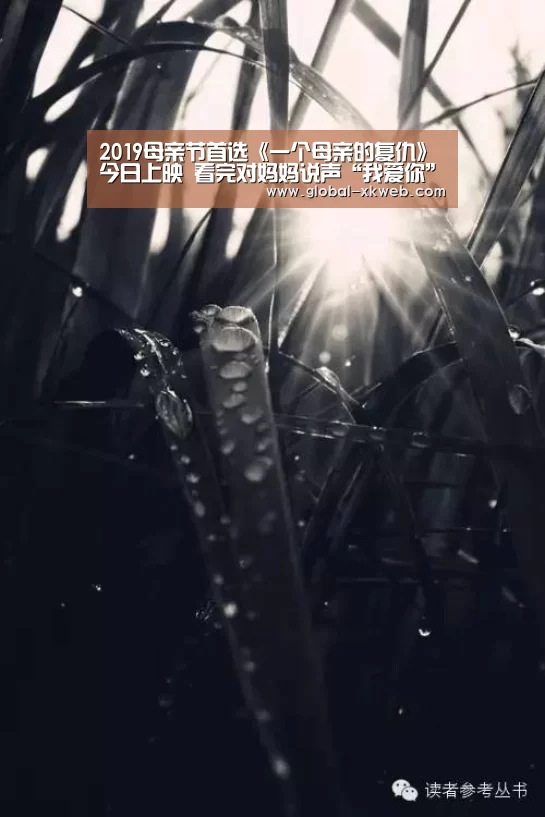 XK体育官方平台