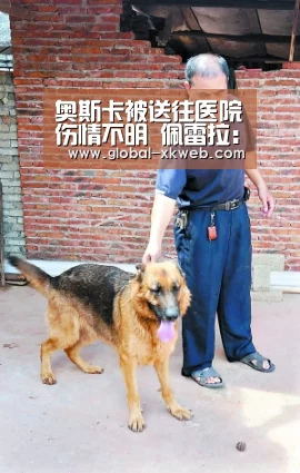 XK体育官方平台