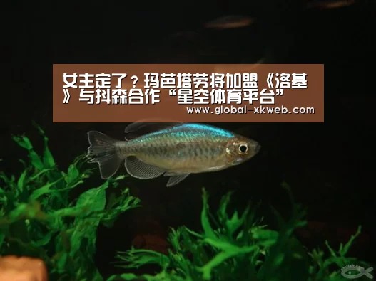 星空在线中心